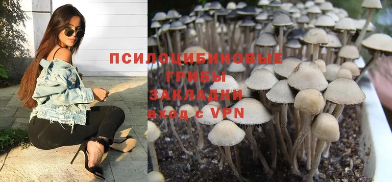 Галлюциногенные грибы Magic Shrooms  Волгореченск 